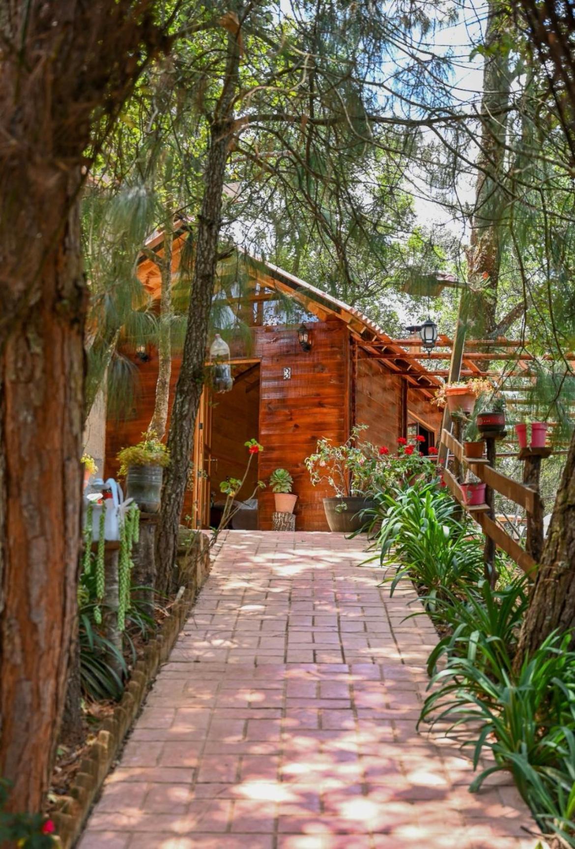 San Jose Del Pacifico- Cabanas Camino Al Cielo 3 Ngoại thất bức ảnh