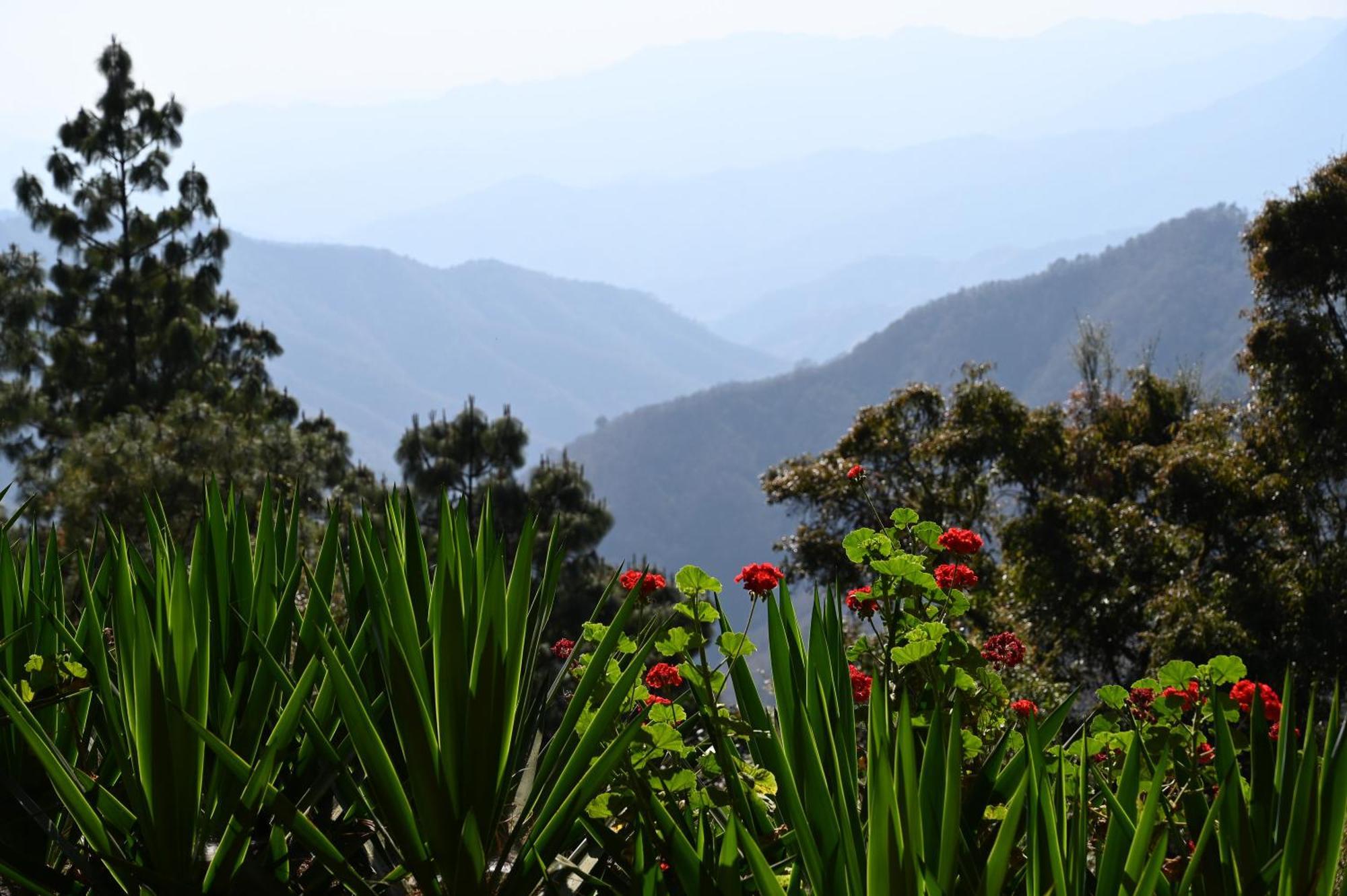 San Jose Del Pacifico- Cabanas Camino Al Cielo 3 Ngoại thất bức ảnh